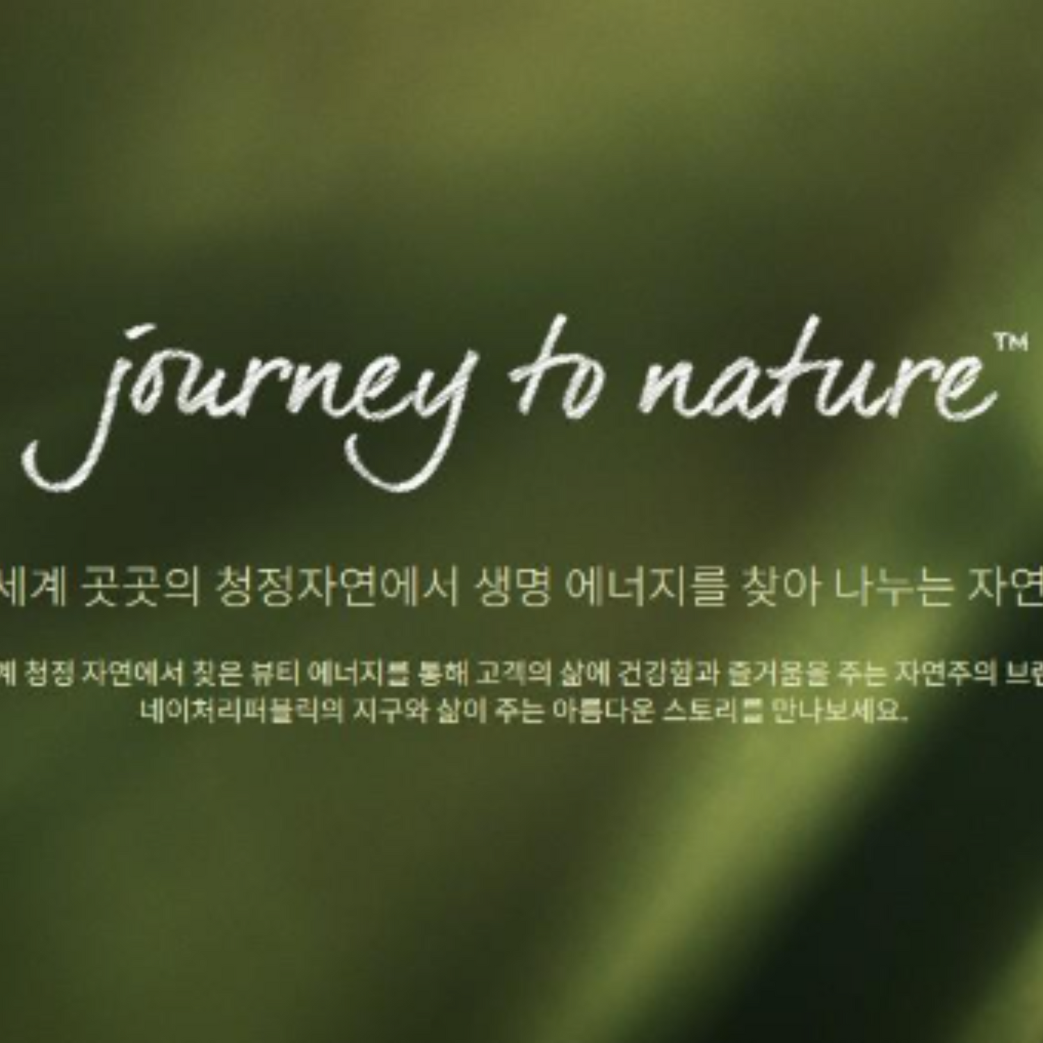 Nature Republic - Gaenari Cosmetics